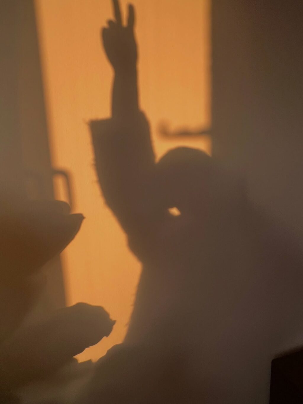 Instagram post from theresalink_. This post is in position 1.