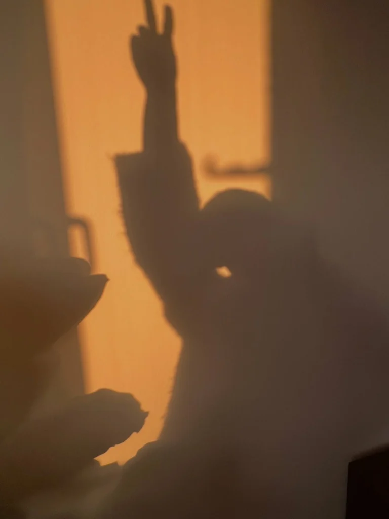 Instagram post from theresalink_. This post is in position 1.