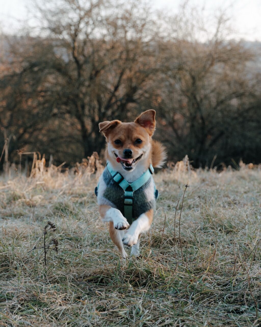 Instagram post from theresalink_. This post is in position 5.