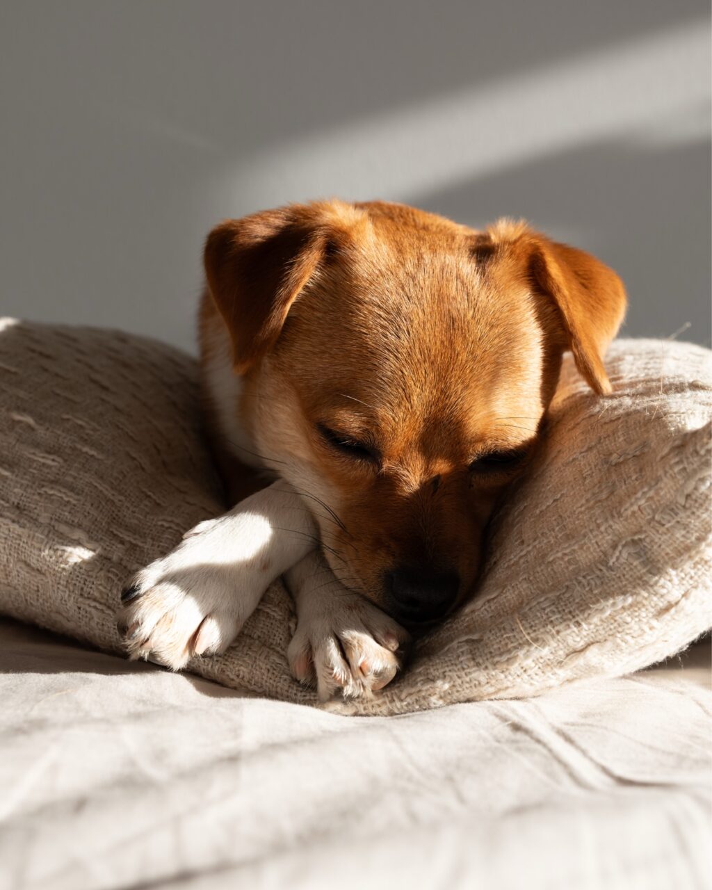 Instagram post from theresalink_. This post is in position 1.