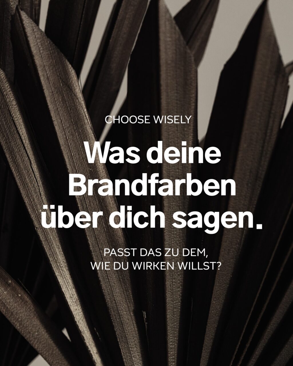 Instagram post from theresalink_. This post is in position 0.