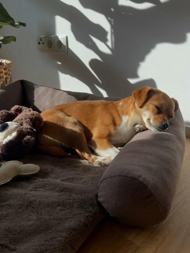 Instagram post from theresalink_. This post is in position 12.