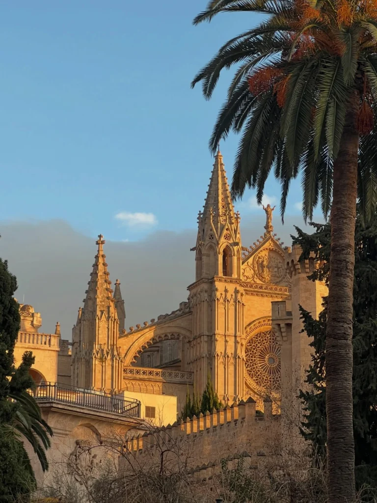 Instagram post from theresalink_. This post is in position 8.